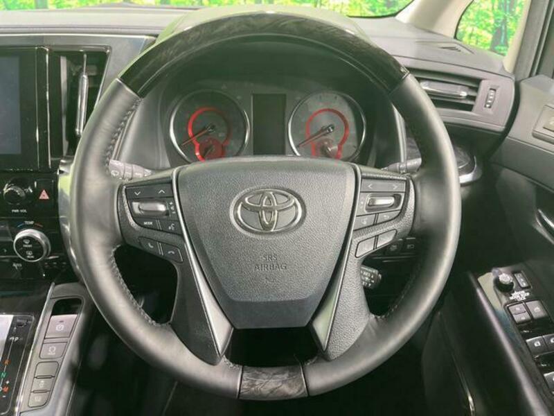 ALPHARD-11