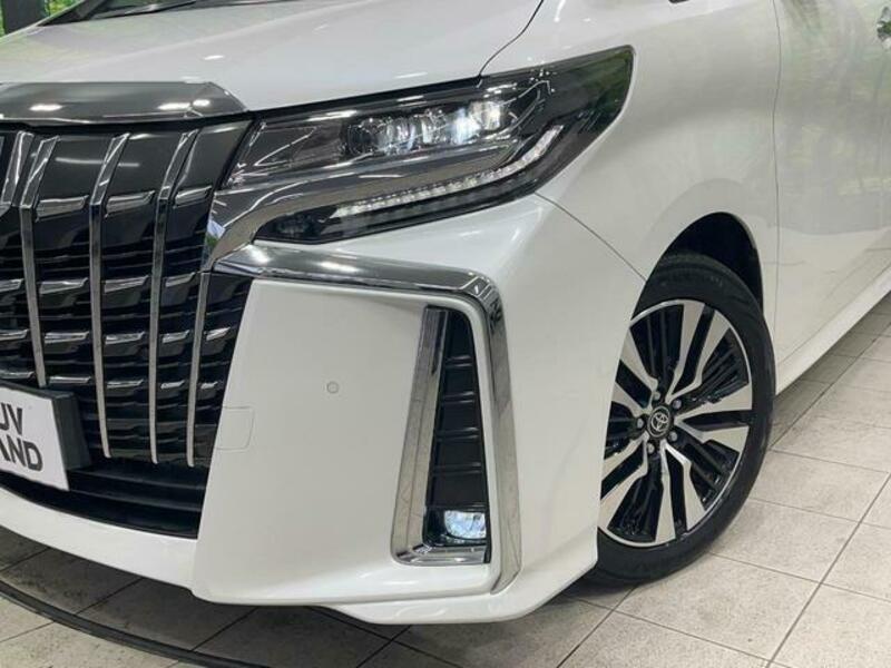 ALPHARD-12