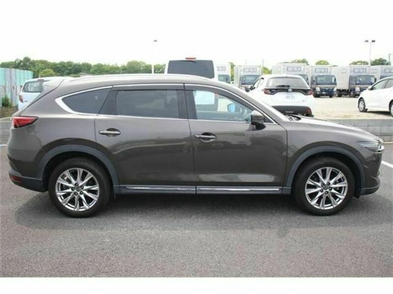 CX-8