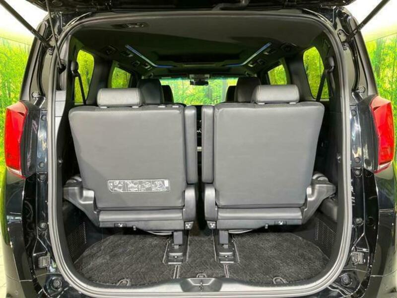 ALPHARD-10
