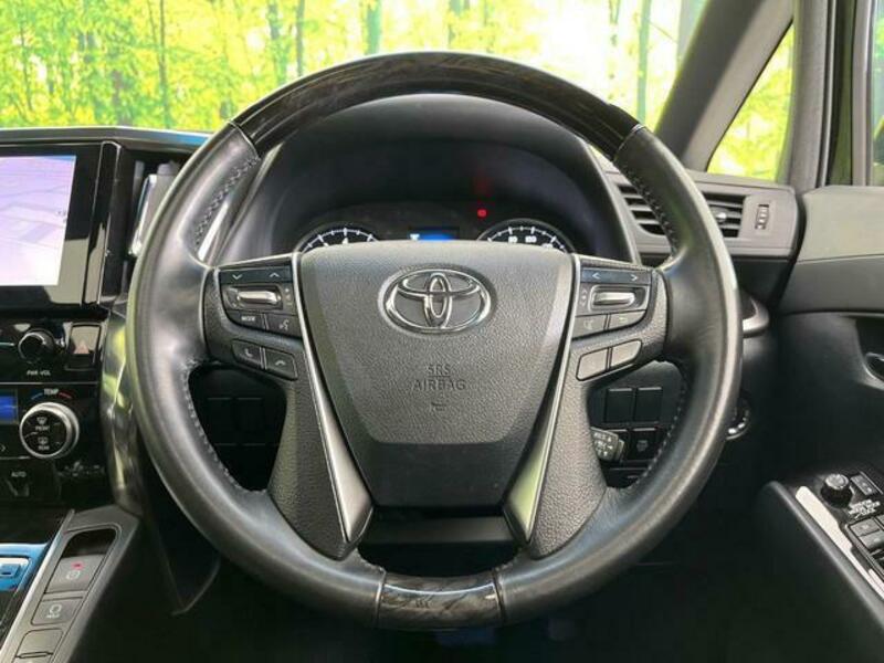 ALPHARD-11