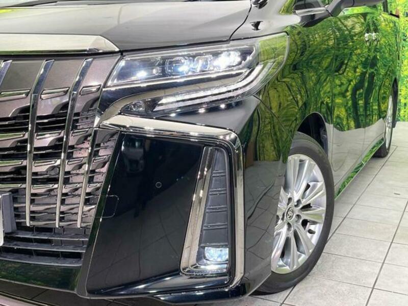 ALPHARD-12