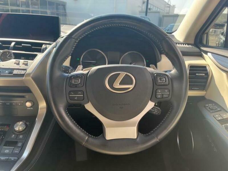 NX