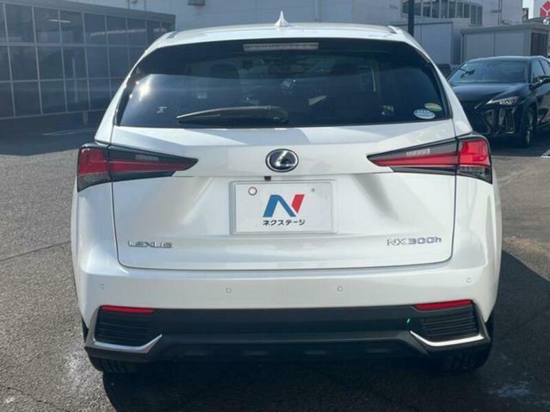 NX