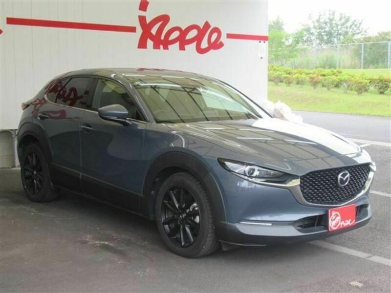CX-30