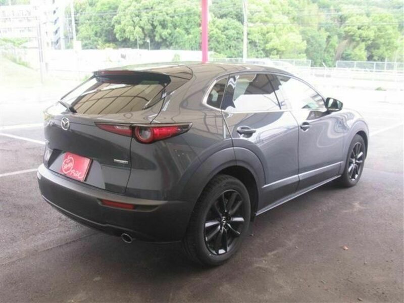 CX-30