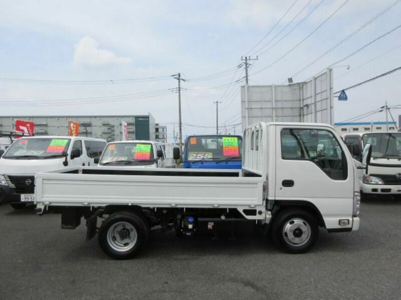 ELF-3