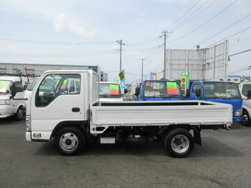 ELF-4