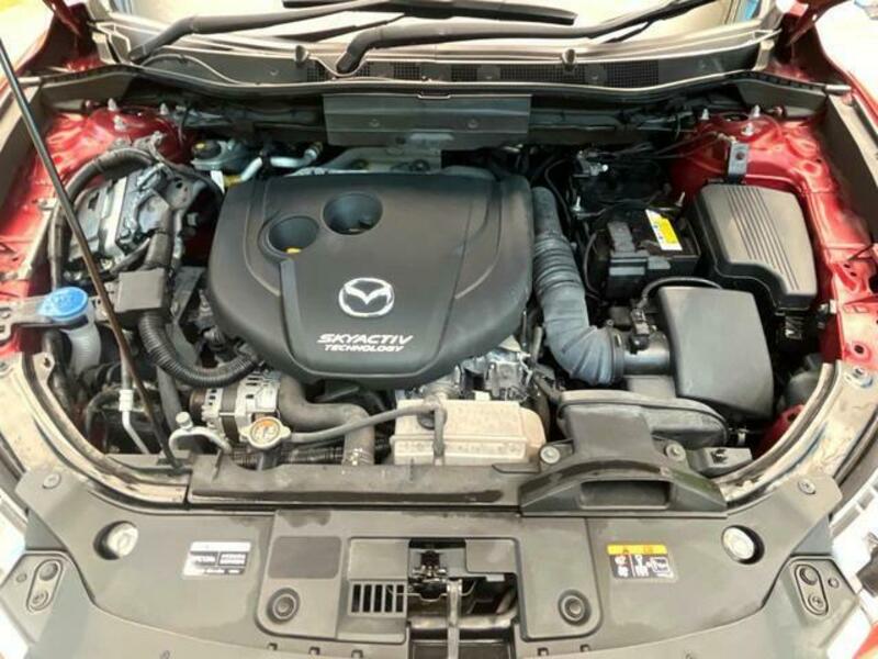 CX-5-17
