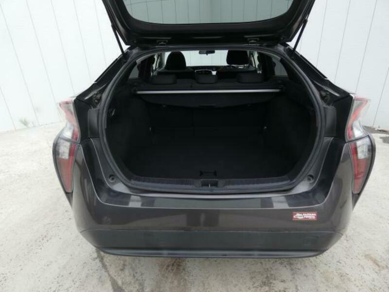 PRIUS-15