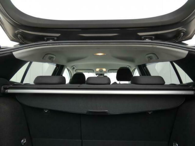 PRIUS-16