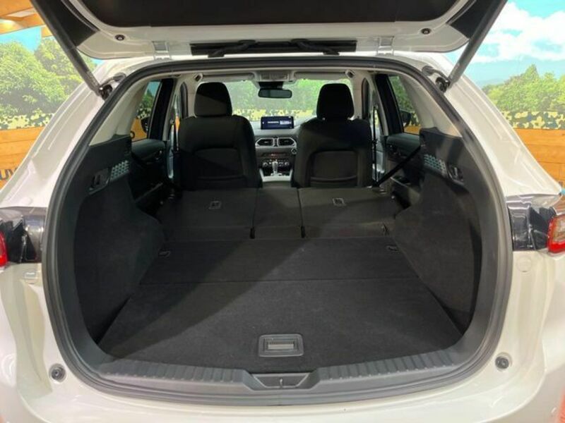 CX-5-9