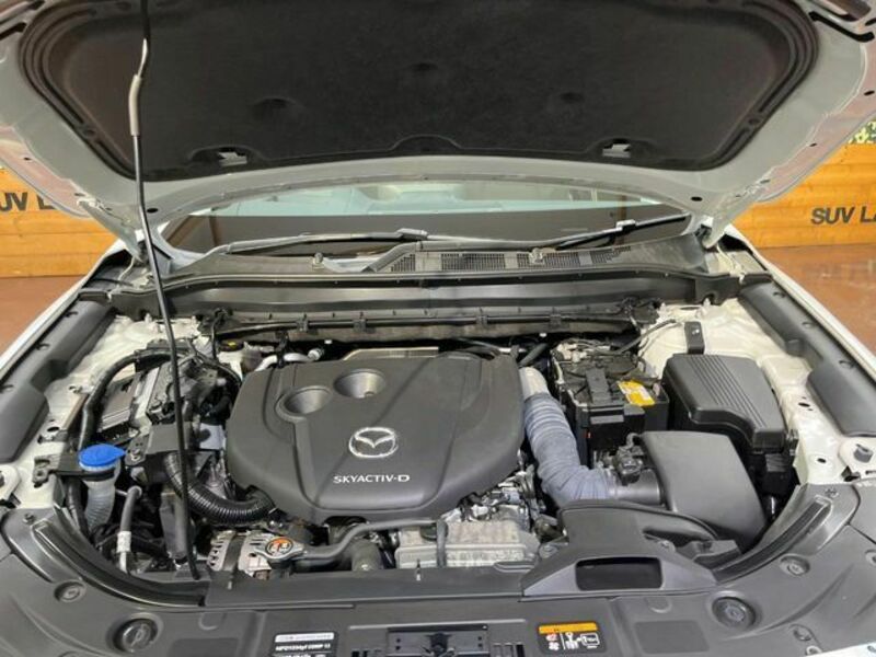 CX-5-17