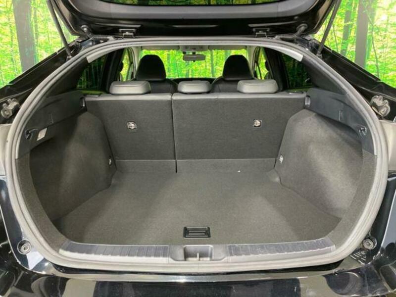 PRIUS-10