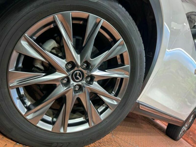 CX-8