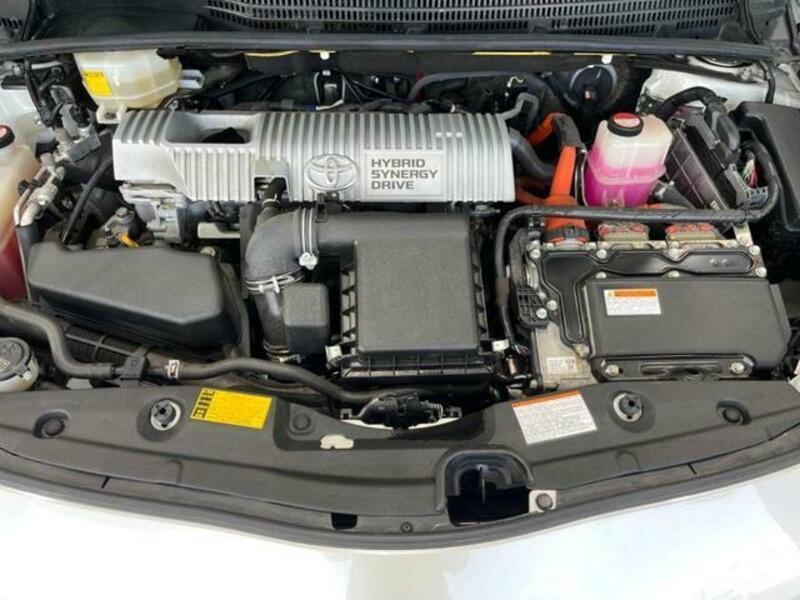 PRIUS-17