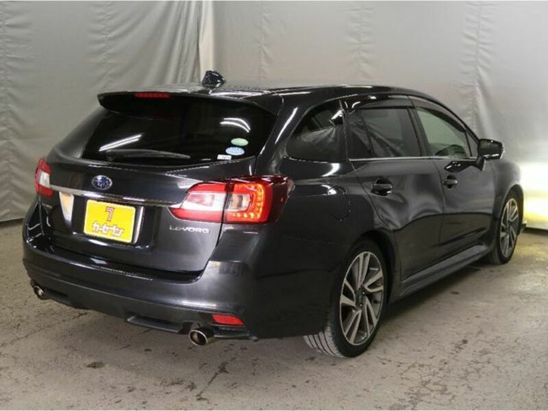 LEVORG-1