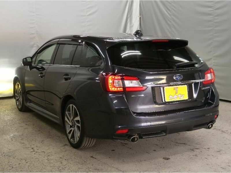 LEVORG-12