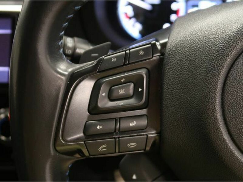 LEVORG-20