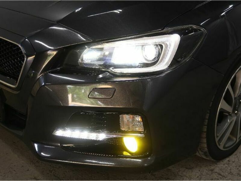 LEVORG-26