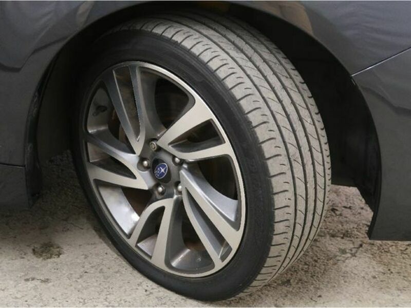 LEVORG-27