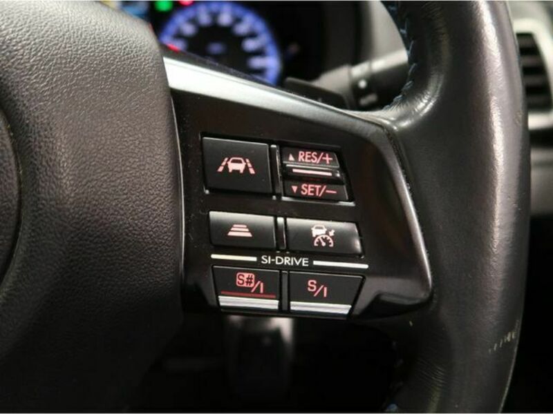 LEVORG-10