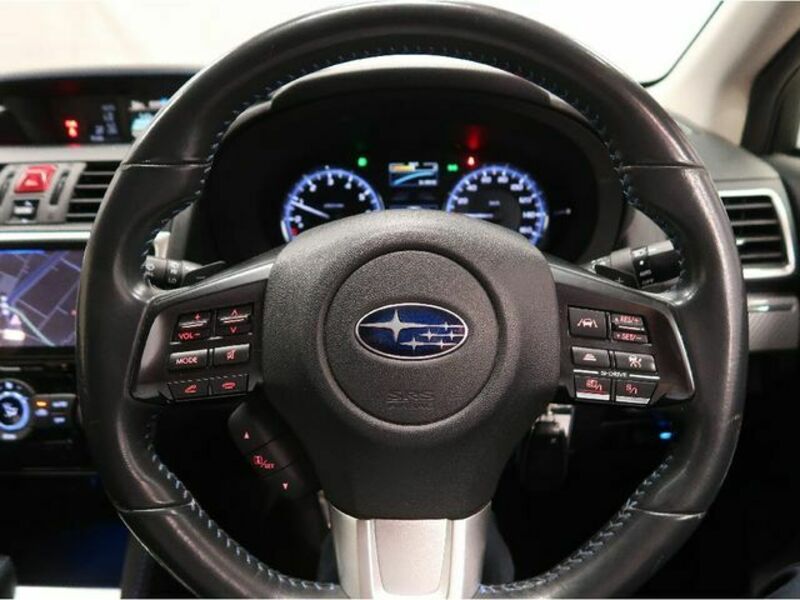 LEVORG-11