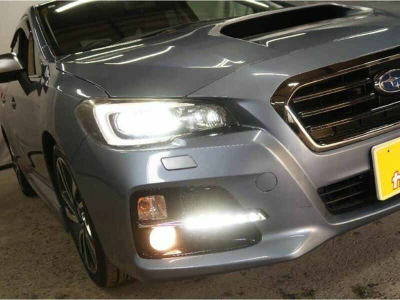 LEVORG-22
