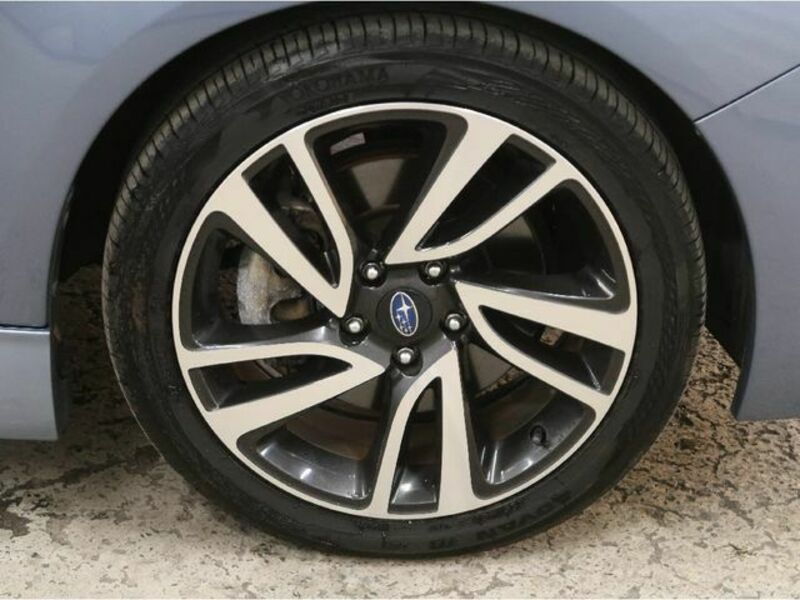 LEVORG-25