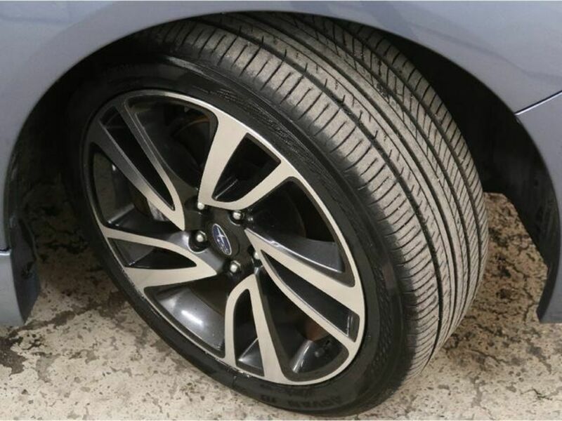 LEVORG-26