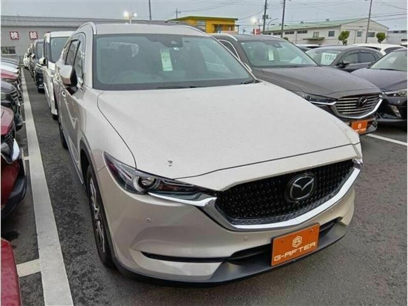 CX-8