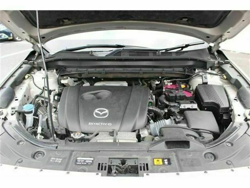 CX-8