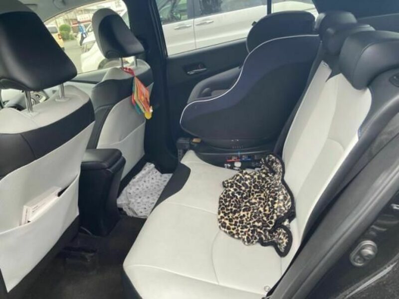 PRIUS-13