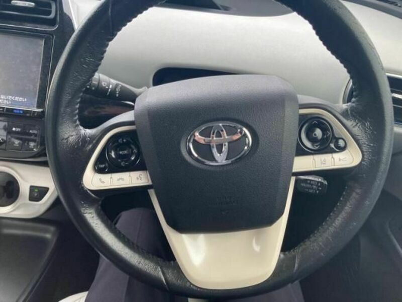 PRIUS-15