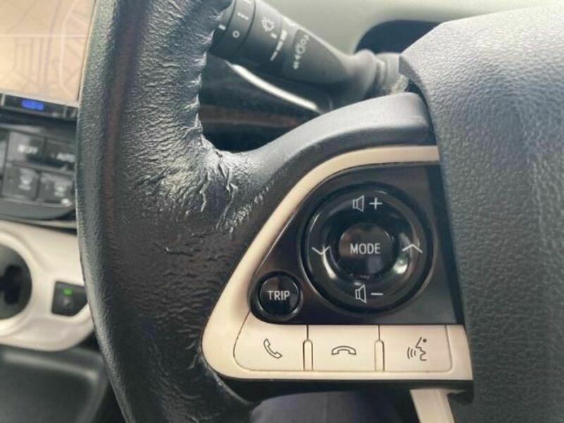 PRIUS-17