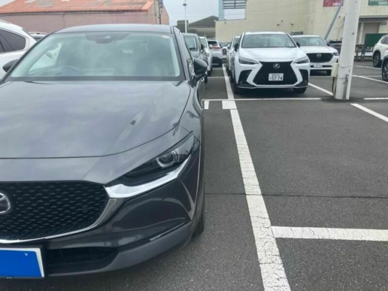 CX-30