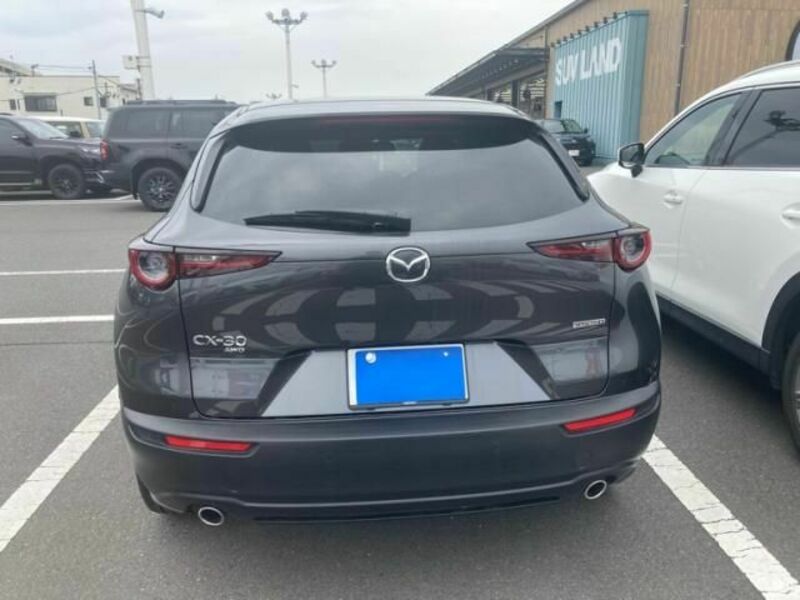 CX-30