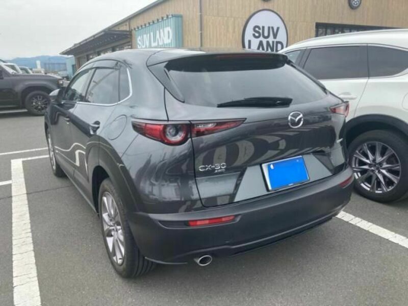 CX-30