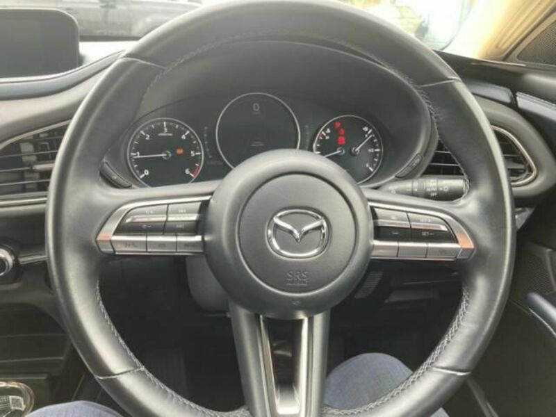 CX-30