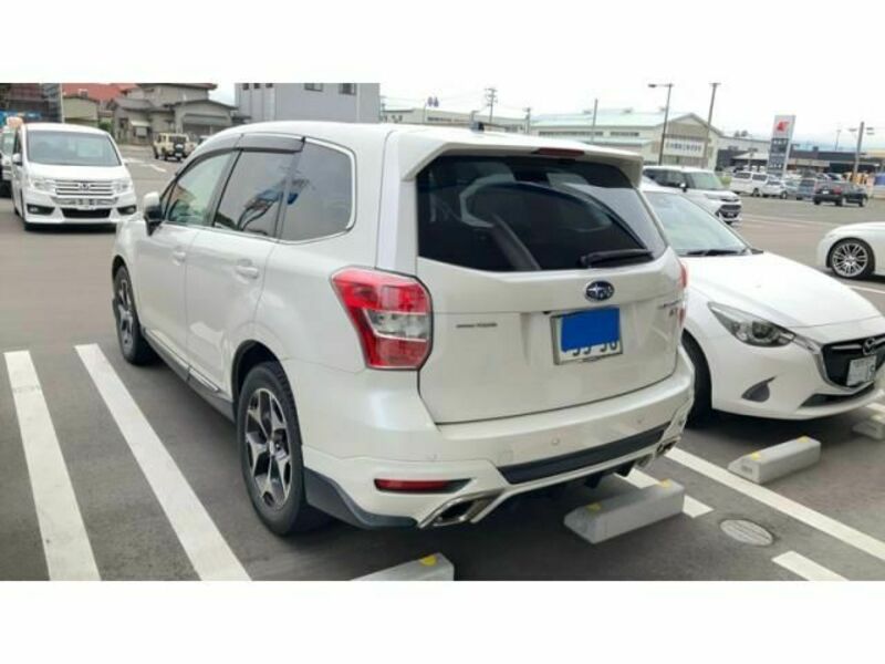 FORESTER-1