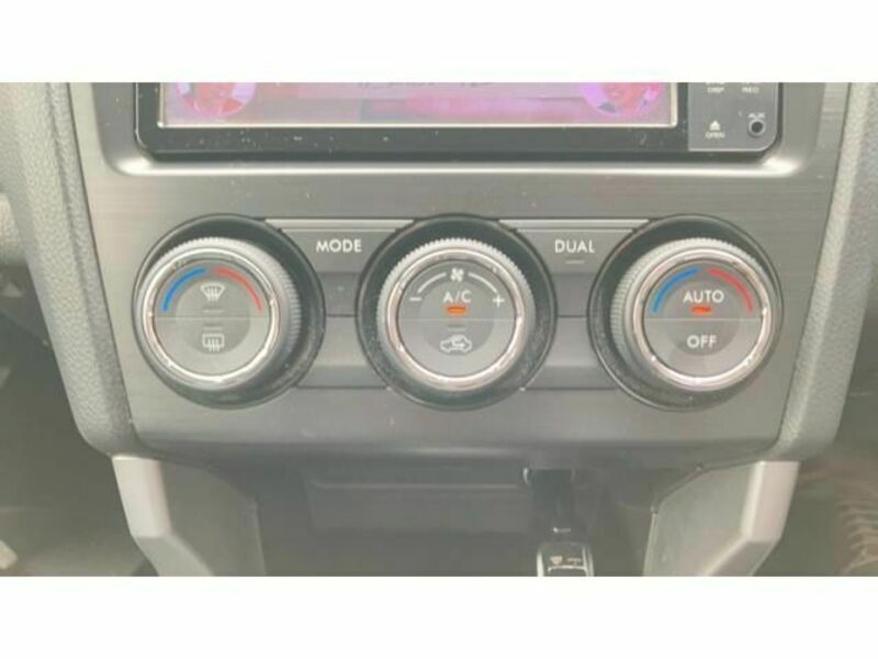 FORESTER-4