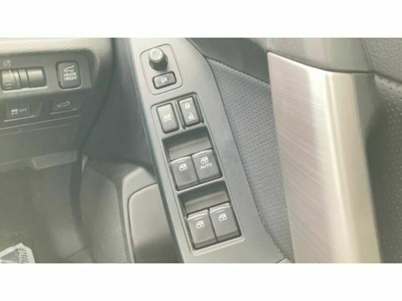 FORESTER-9