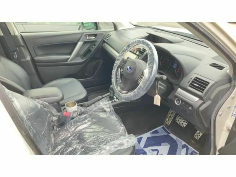 FORESTER-10
