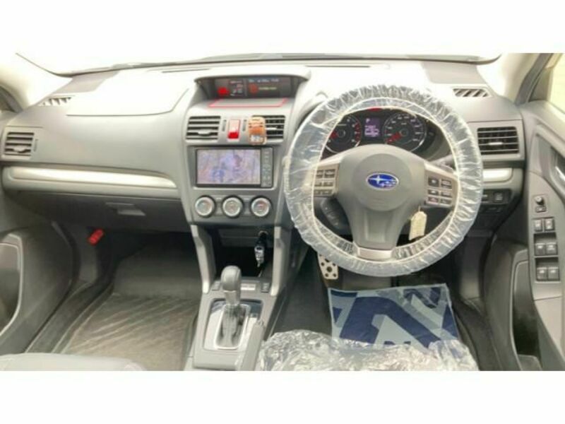 FORESTER-11