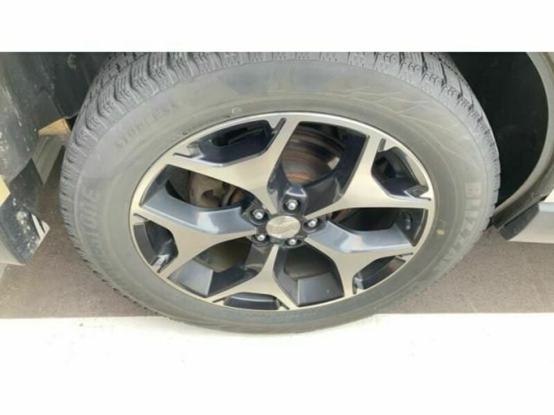 FORESTER-15