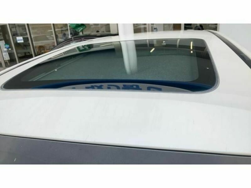 FORESTER-17