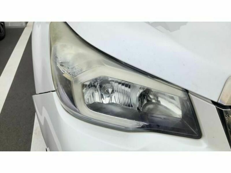 FORESTER-18
