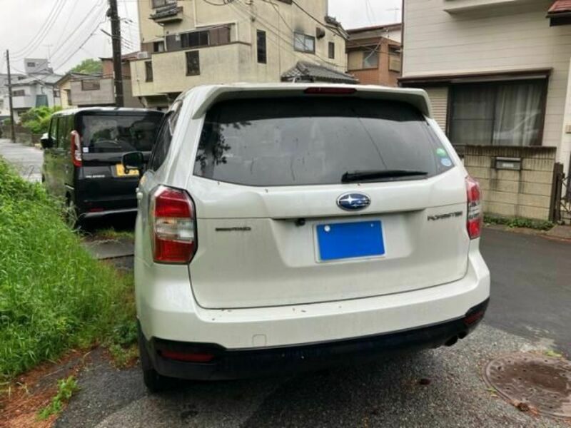 FORESTER-1