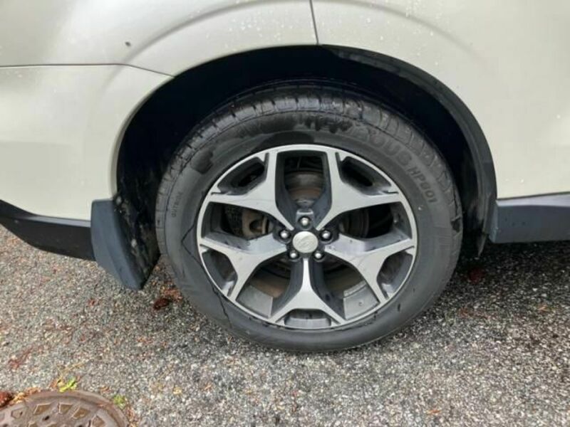 FORESTER-3