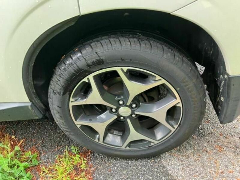 FORESTER-4